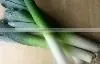 Organic fresh leeks