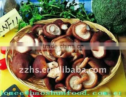 Canned Whole Shiitake Mushroom Nutritious Recipes
