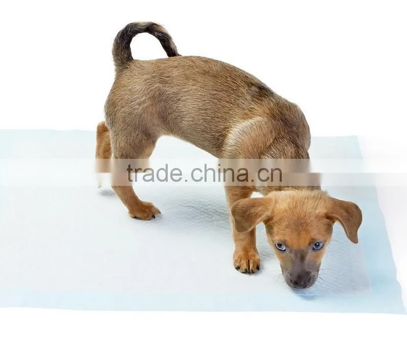 Super absorbent pet nursing diaper pad