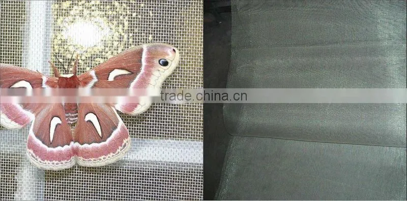 0.17mmX24X24mesh galv. iron wire netting