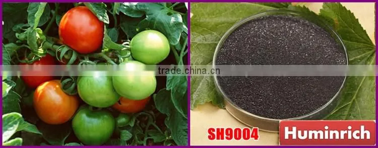 FAQ 39--What Kind Of Organic Fertilizer Can Be Used As Tomato Fertilizer?