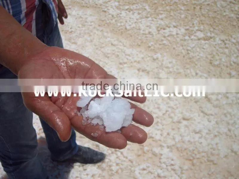 Rock Salt in bulk 98-99% for salt contractors 2016/2017 (SGS certificate)