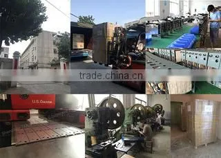 Shenzhen TOLO Leisure Equipment Co., Limited company overview - view 3