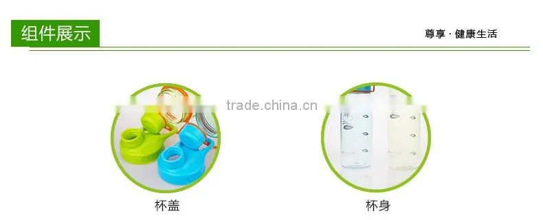 bpa free water bottle /plastic sports bottle with straw/travel bottle