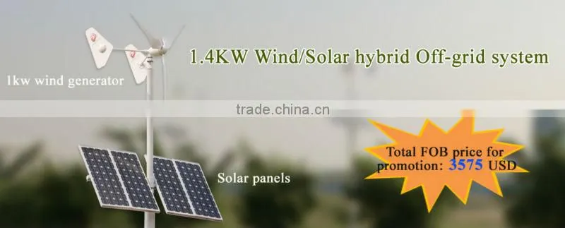 1kw 48V off-grid twin tails patent wind turbine system for street light