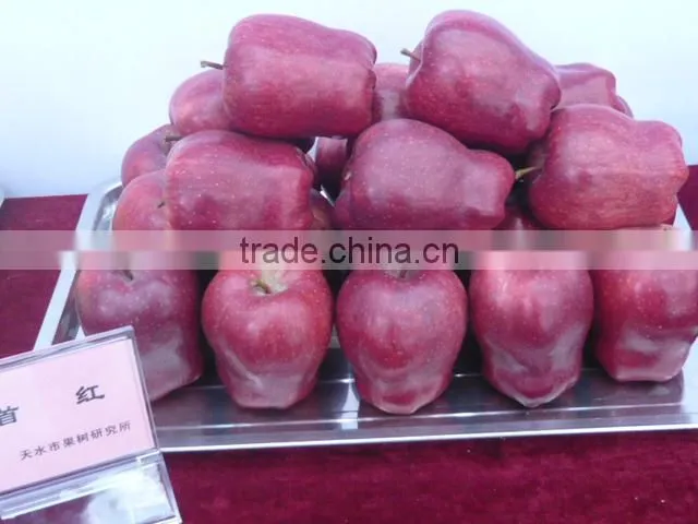 red huaniu apple