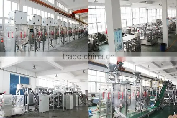 CF1-300 automatic feeding premade 4 side seal bag packaging machine