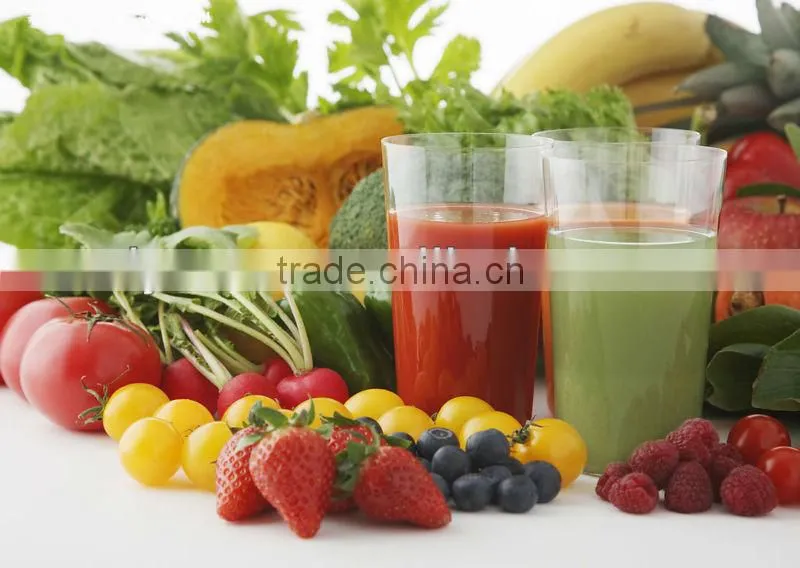 Competitive Price Fruit Pulping Machine