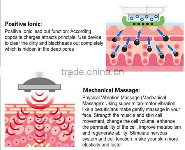 best derma spa facial massager