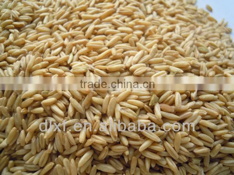 oat/peeless oat