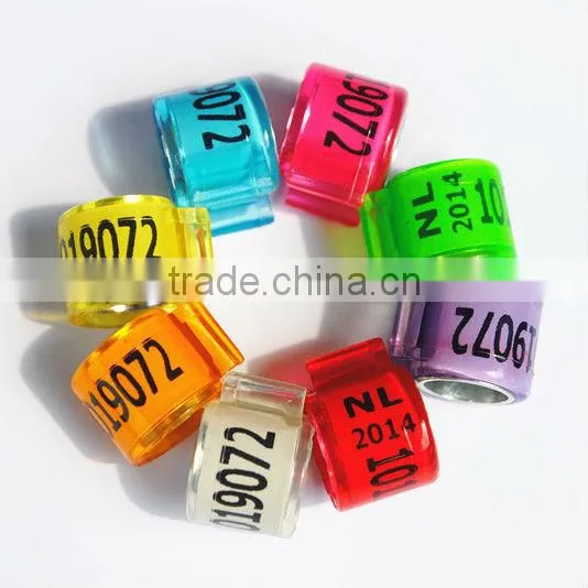 2015 Newest Dutch Pigeon Ring For Sale By YZ factory EXW price