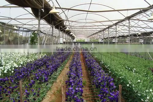 Garden Drip Irrigation System