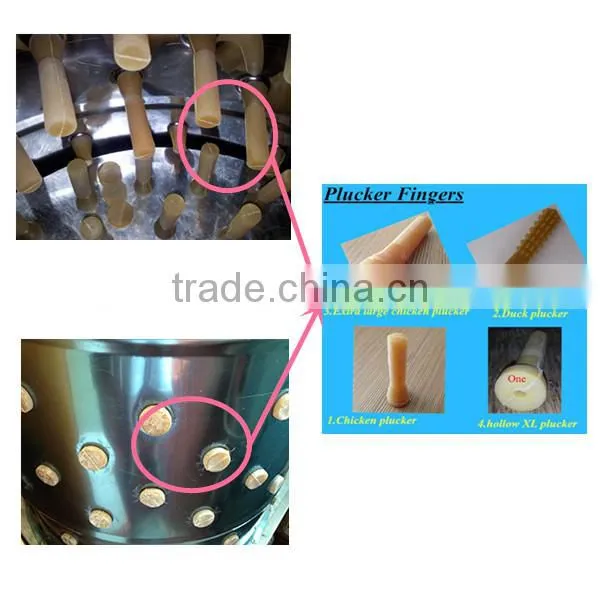 Best Selling Wholesale Automatic Commercial Chicken Plucker Machine