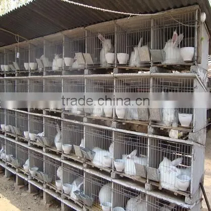 Commerical Iron Rabbit Cage