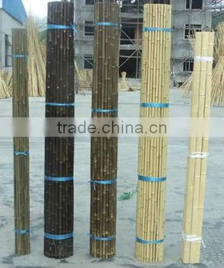 Tonkin Bamboo Cane/Cane Bamboo/Bamboo Pole