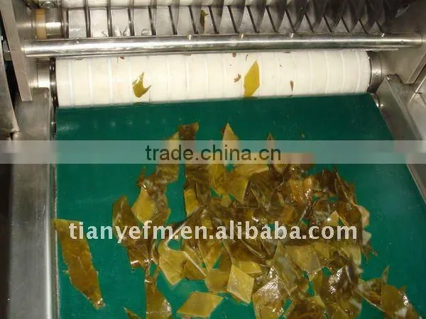 TW-631 Fresh meat cutting machine (Video)