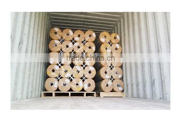 pe film manufacturers/pe bag on roll