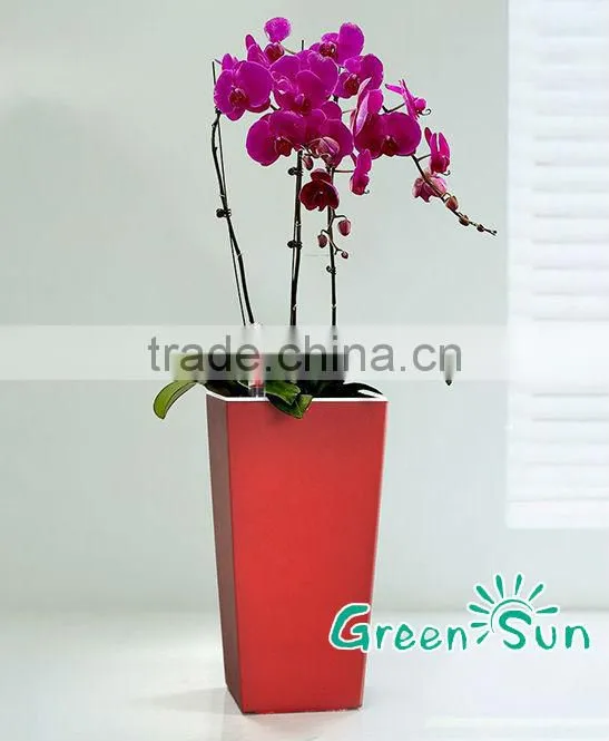 Flower pots, Hydroponics system
