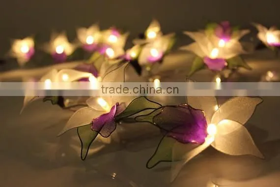 Warm White Operated LED String Lights