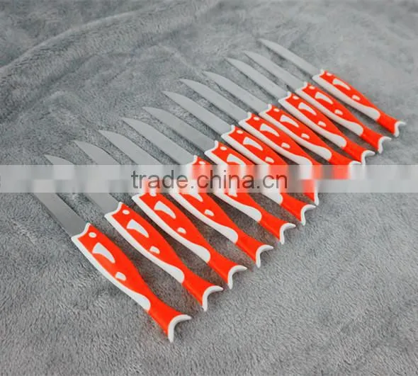 51010 12PCS STAINLESS STEEL fruit Knife Set