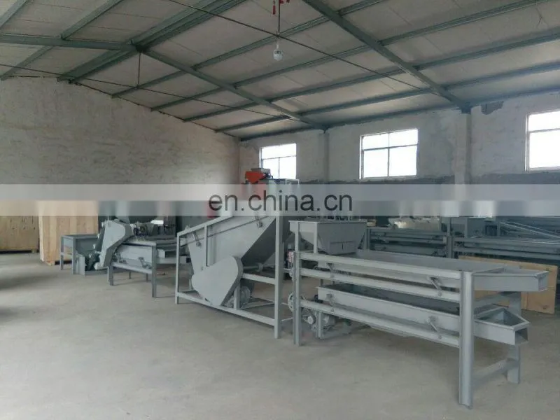 Hot sale apricot kernels shell separating machine