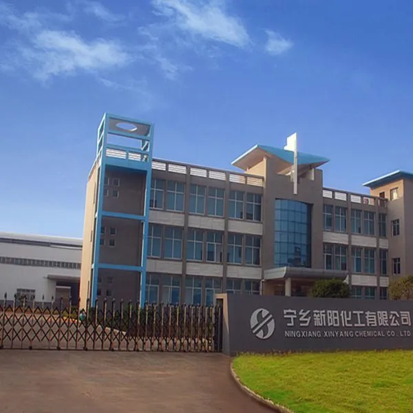 Ningxiang Xinyang Chemical Co., Ltd company overview - view 1