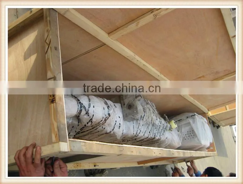 Meat Processing Machine Meat Lifter/ Elevator/ Loader
