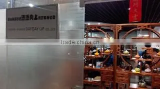 Foshan Shunde Daydayup Trade Co., Ltd. company overview - view 1