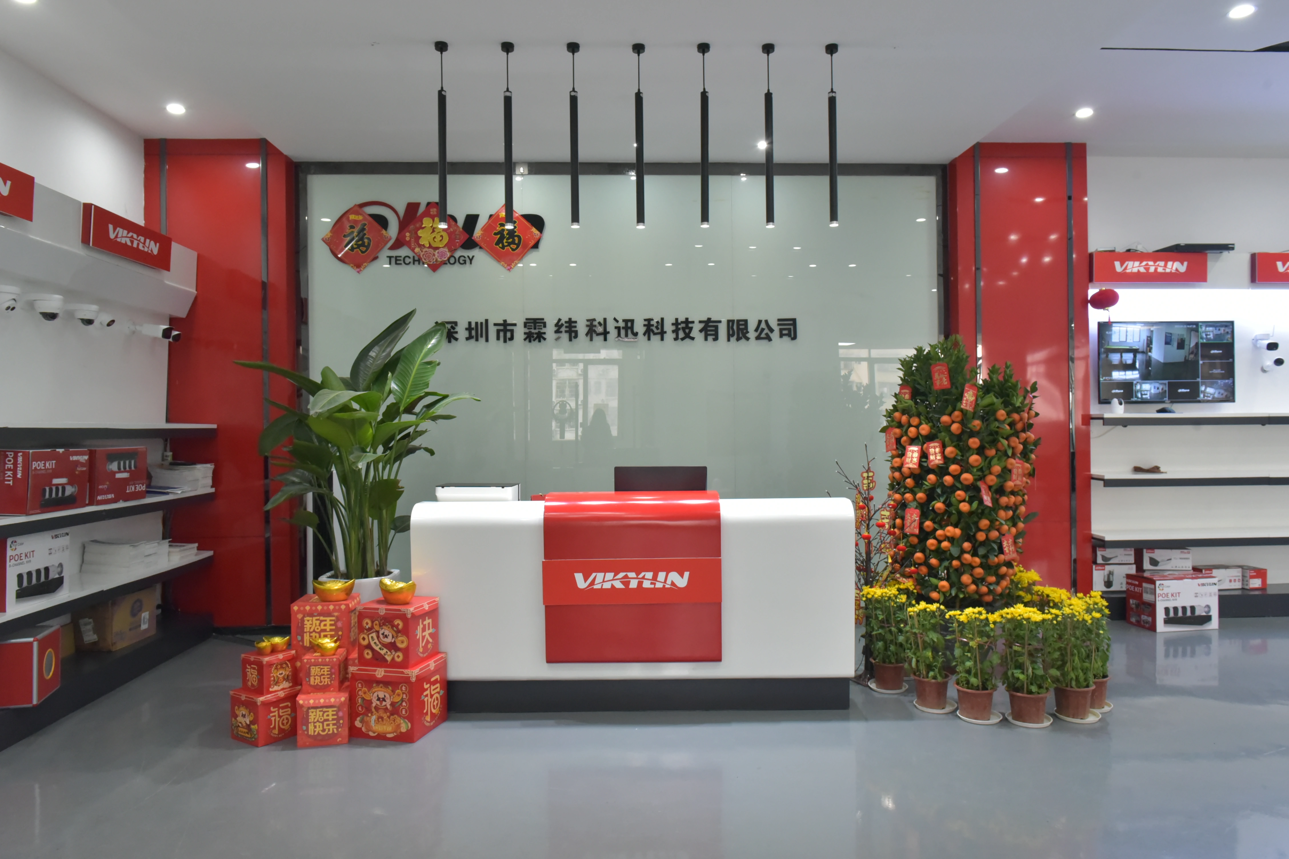 Shenzhen Vikylin Technology Co., Ltd. company overview - view 1