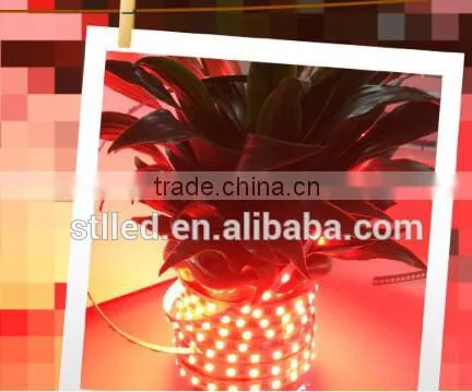 best selling shenzhen Smart lighting co.,ltd SMD5050 DC12V/24V RGBW side emitting led strip light