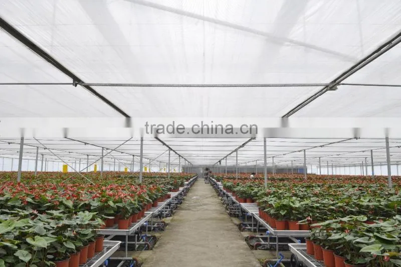 auto forever flowering greenhouse