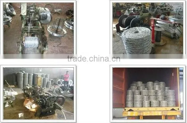 Hot-dipped Galvanized Barbed Wire