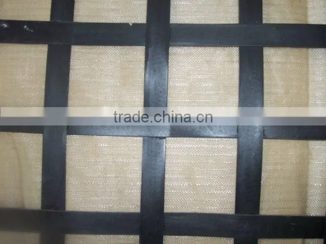 steel plastic geogrid(TGSG4040-120120)