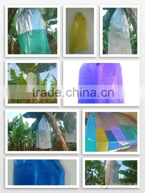 Plastic perforated banana bags
