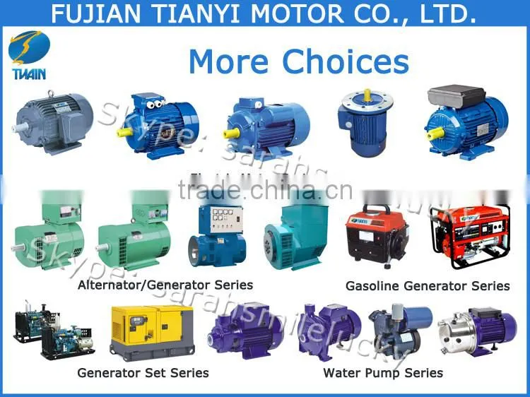 GP200 0.32HP Wate Pump