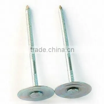 nail screws