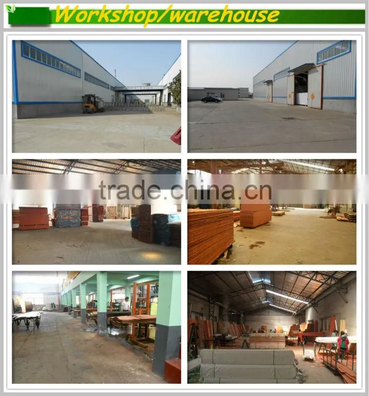 Medium Density Fibreboard Door Skins with White Primer