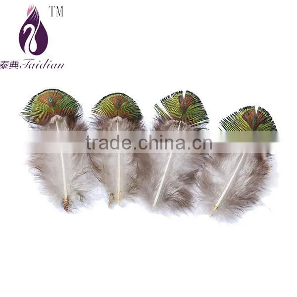 pheasant peacock feathers,green gold peacock plumage feathers