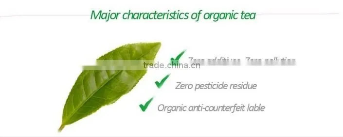 Hot sale china organic certified green tea
