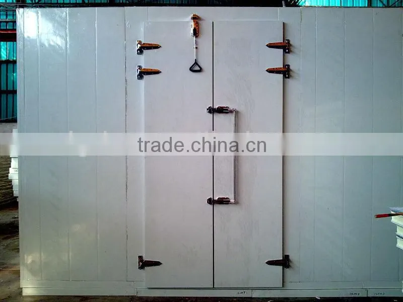 Double handles walk-in cold storage door fire proof