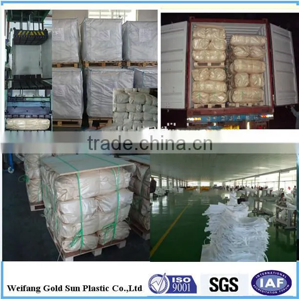 Specialist Bulk Bags/FIBC/Big bag/Container Bag/Valve Bag/ Jumbo bag