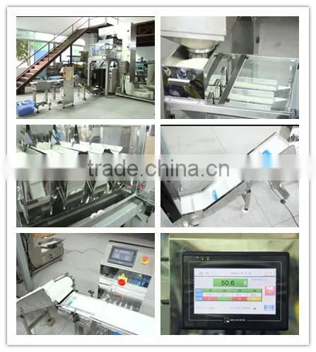 4 Heads Linear Weigher (HT-W4 )