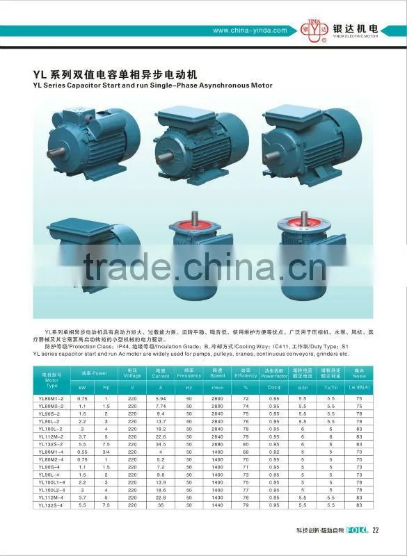 Single Phase ac motor 230v 100w