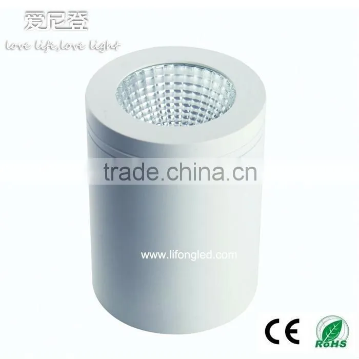 2015 adjustable 12W COB LED Surface Mounted with warm white
