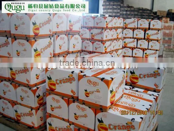 Sweet navel orange 1st class price