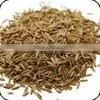 Caraway Seed