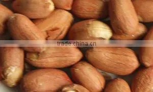 Good as aniseed, and basil, roasted flavored peanuts with five spices