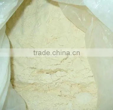 Garlic Powder Global Foods