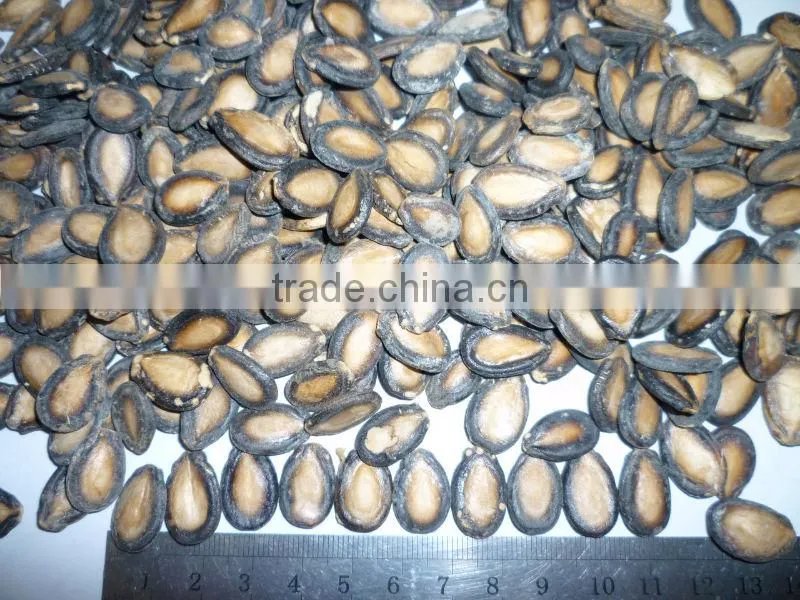 roasted and salted SNOW WHITE PUMPKIN SEEDS