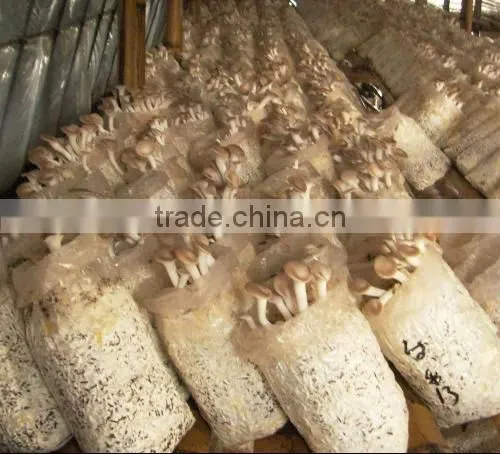 energy saving --wood crushing machine
